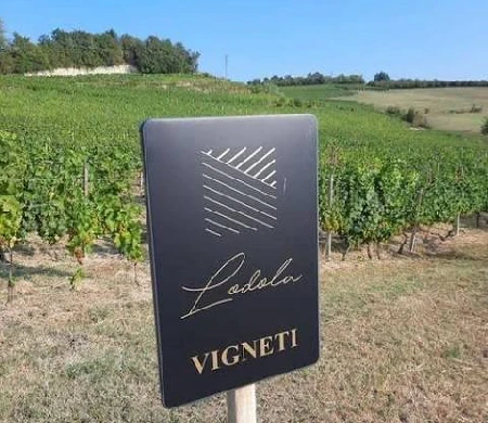 Cartello Cascina Lodola in vigna